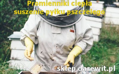 promienniki lampy dla pszczelarza bartnika